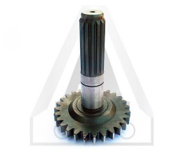 RUEDA DENTADA BUCHER