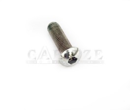 TORNILLO ALOMADO PLACA M 10X34 ORIG.