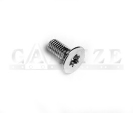 TORNILLO TORX